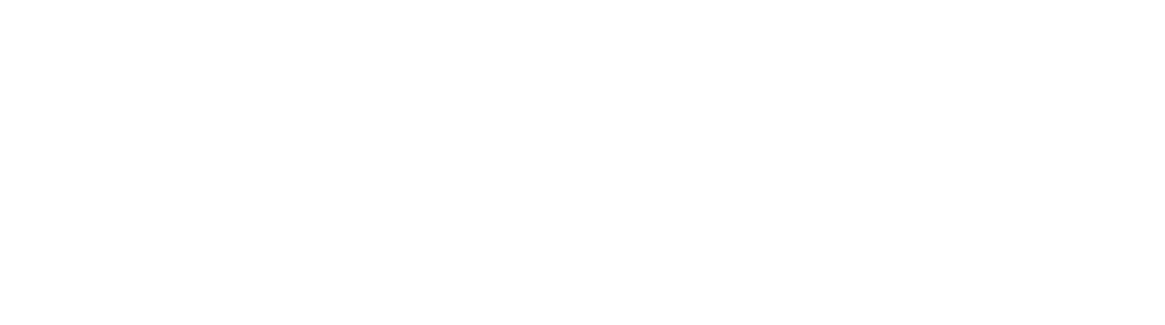 Neto Seminovos